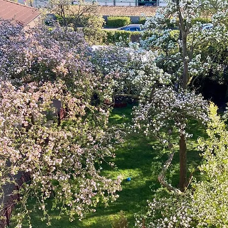 Moewenblick Apartment Wilhelmshaven